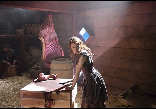 Dragon Age: Redemption'dan ilk sahneler