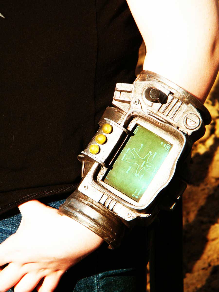 Hanginizin böyle bir PipBoy'u var?