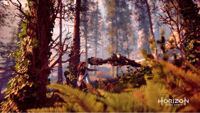 Horizon: Zero Dawn'ın fotoğraf mod'undan şiir gibi görseller