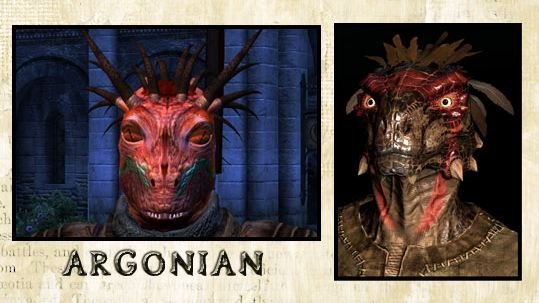 Skyrim vs Oblivion