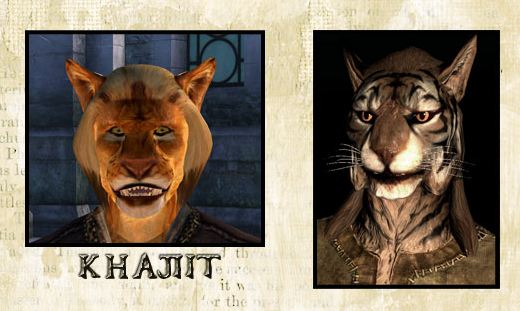 Skyrim vs Oblivion