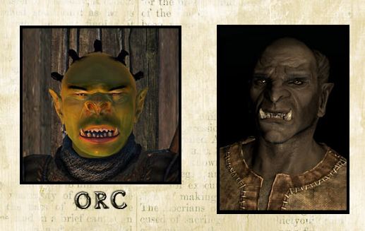 Skyrim vs Oblivion