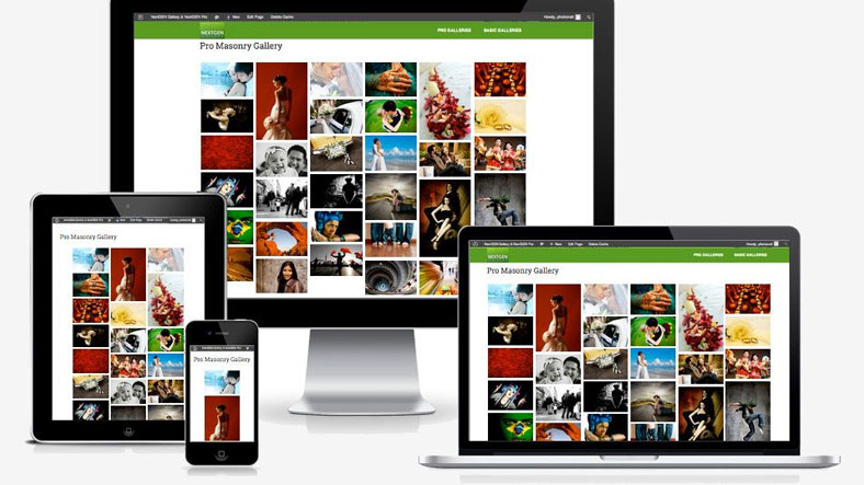 wordpress