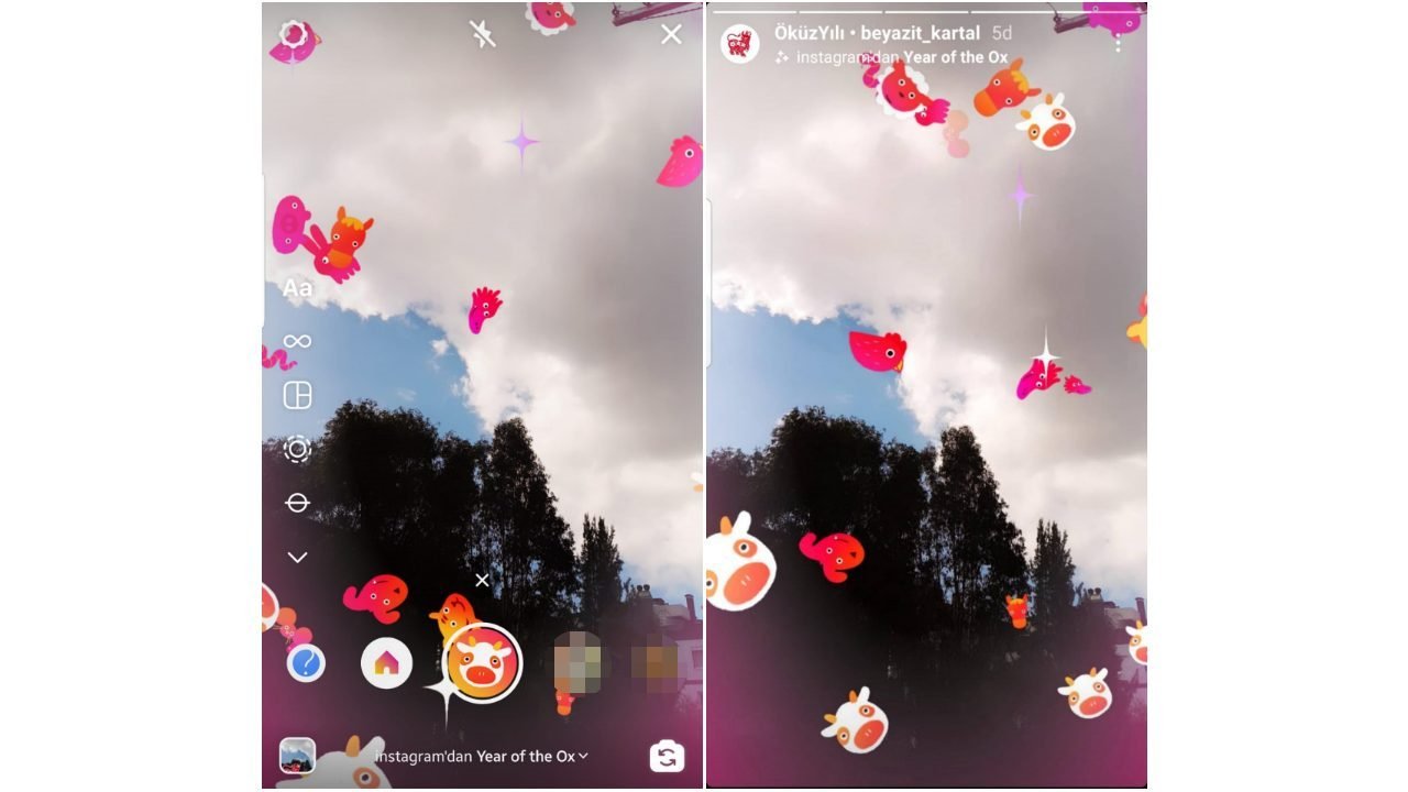 ÖKÜZ yılı filtre