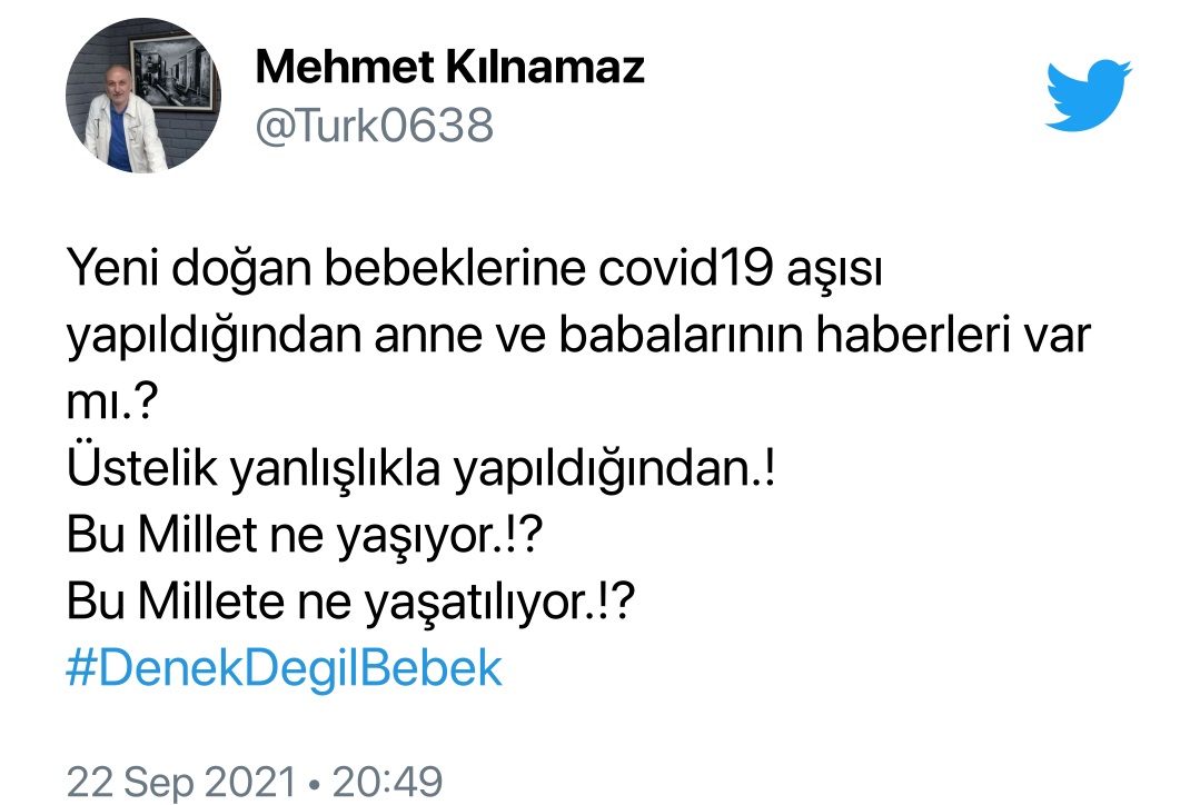 bebek