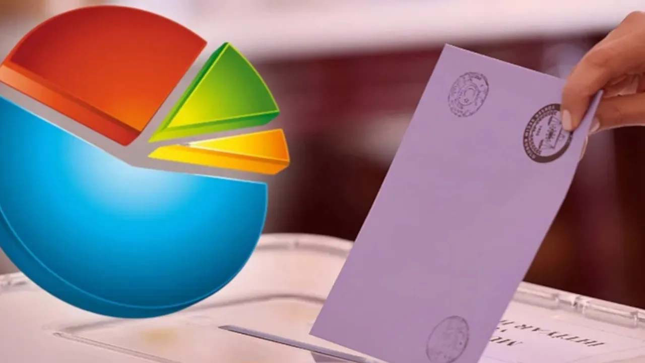 araştırma şirketlerine denetim